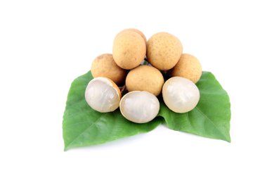 meyve ve yaprakları ağacın Longan.