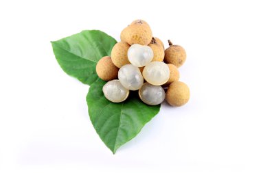 yapraklarda istirahat longan.