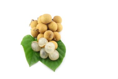 yapraklarda istirahat longan.