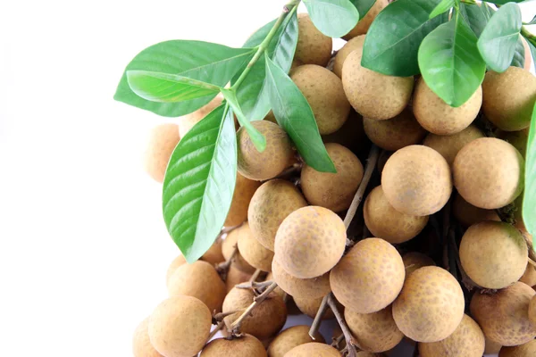 Närbild longan frukt. — Stockfoto