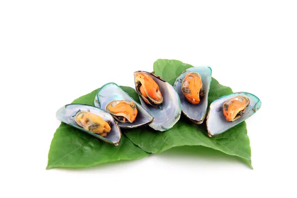 Mussels on vegetables. — Stock Photo, Image