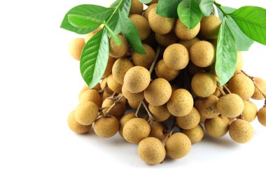 meyve Longan kapatmak.