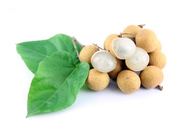 Beyaz arkaplanda longan.