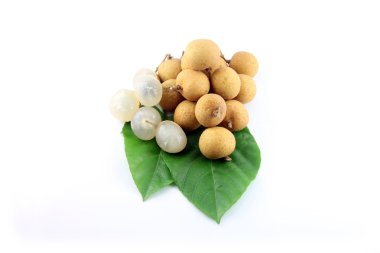 Beyaz arkaplanda longan.