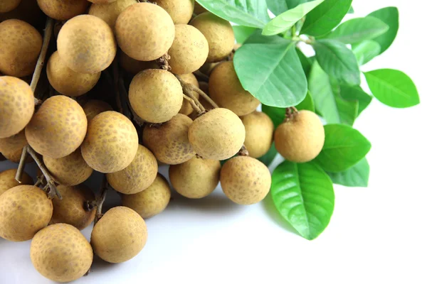 Close up longan of fruit. — Stock Photo, Image
