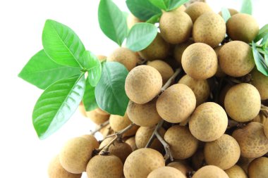 meyve Longan kapatmak.