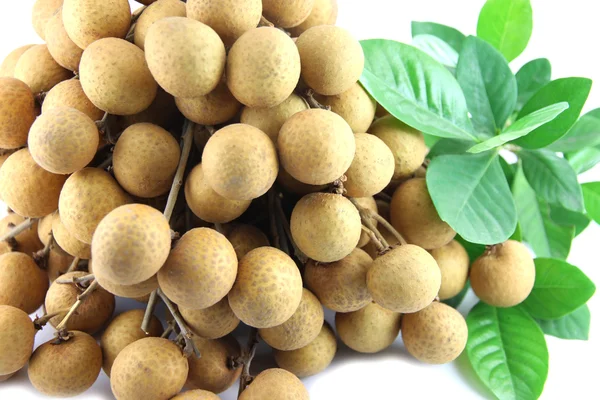 Close-up longan van fruit. — Stockfoto