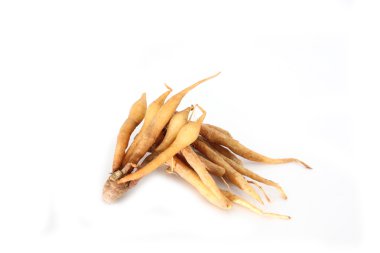 fingerroot veya Tay zencefil.