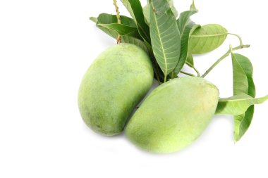 Yeşil mango ve yaprakları.