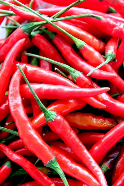 Un montón de chile rojo picante . — Foto de Stock