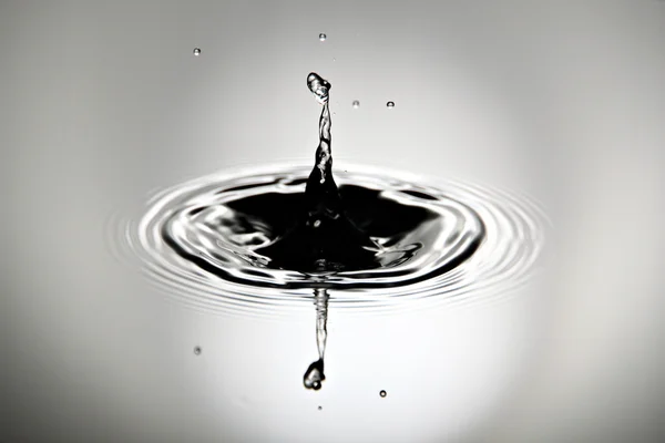 Pictures is water drops a beautiful shape. — Stock Photo, Image