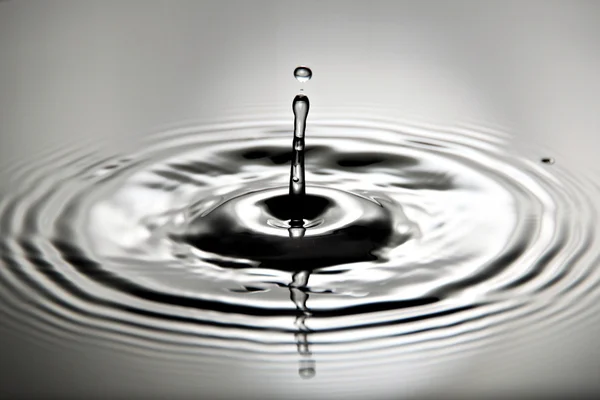 Pictures is water drops a beautiful shape. — Stock Photo, Image