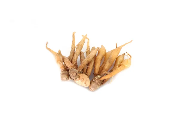 The fingerroot or Thai ginger. — Stock Photo, Image