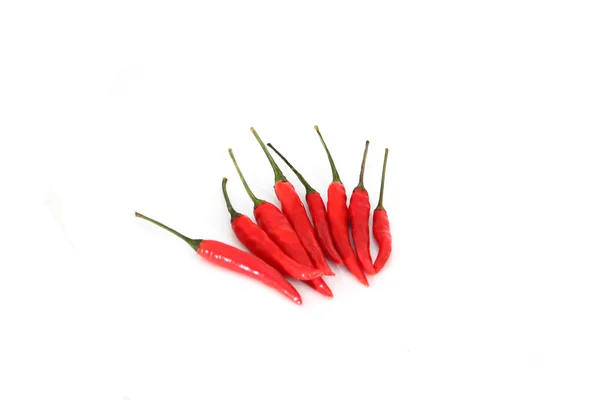 Kryddig röd peppar. — Stockfoto