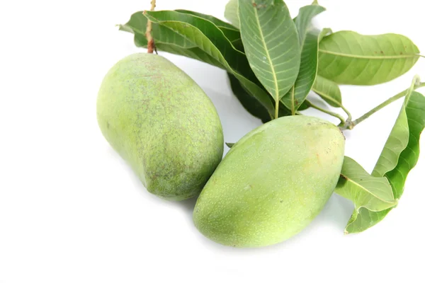 Groene mango en bladeren. — Stockfoto