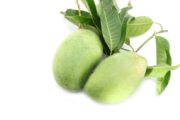 Groene mango en bladeren. — Stockfoto