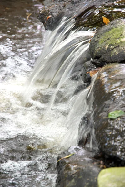 El agua que fluye de las rocas . —  Fotos de Stock