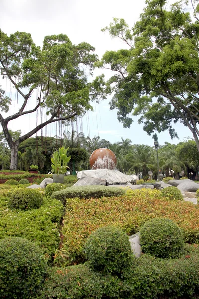 Flor del jardín y el árbol grande . —  Fotos de Stock