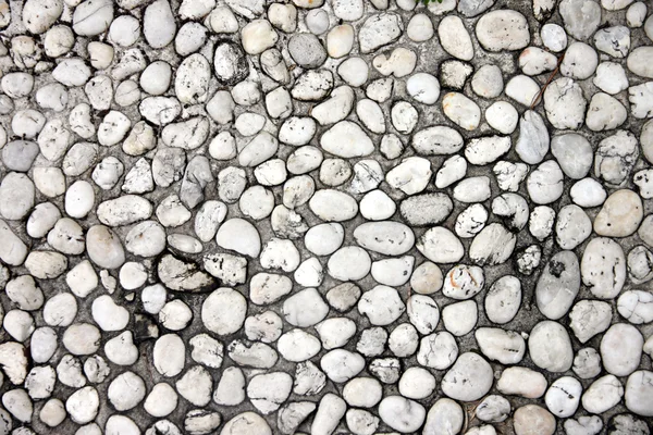Texture of Pathway made from White Rock. — Stock Photo, Image
