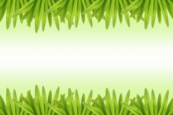 フォト フレームの緑の葉します。. — ストック写真