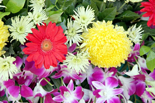 Buquê de flores coloridas . — Fotografia de Stock