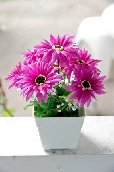 Fiori viola nel vaso bianco . — Foto Stock