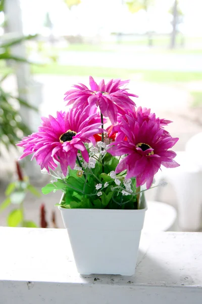 紫色的花朵，在白色盆栽. — 图库照片