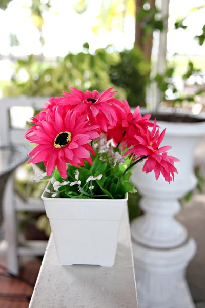 Pink flowers in white potted. — Stock Photo, Image