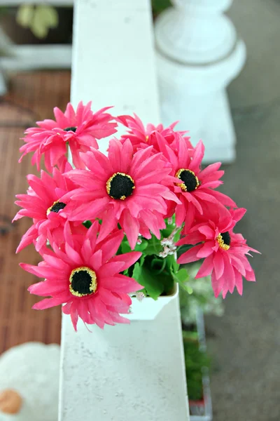 Flores cor de rosa em vaso branco . — Fotografia de Stock