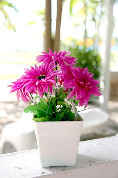 Flores púrpuras en la maceta blanca . — Foto de Stock