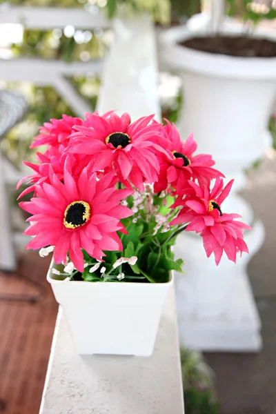 Fiori rosa in vaso bianco . — Foto Stock