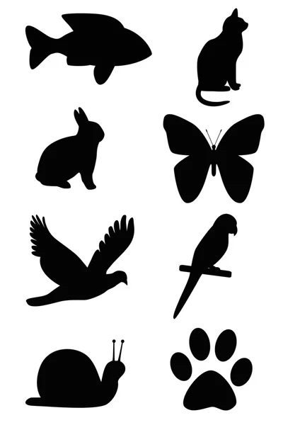 Silhouette of animals. — Stock Photo, Image