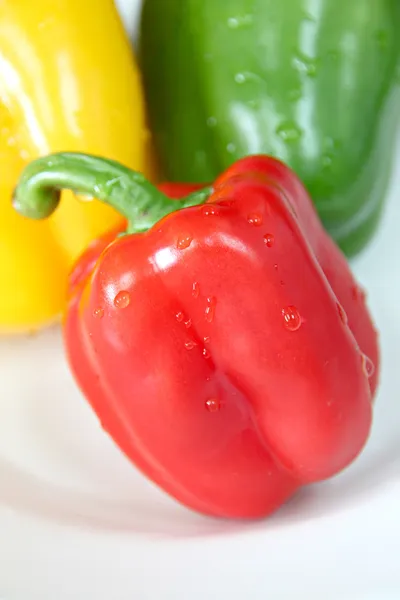 Drie gekleurde paprika. — Stockfoto