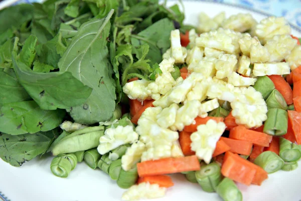 Misture legumes fatiados em pedaços no prato . — Fotografia de Stock