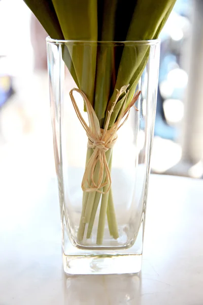 Stammen van de bloemen in het glas. — Stockfoto