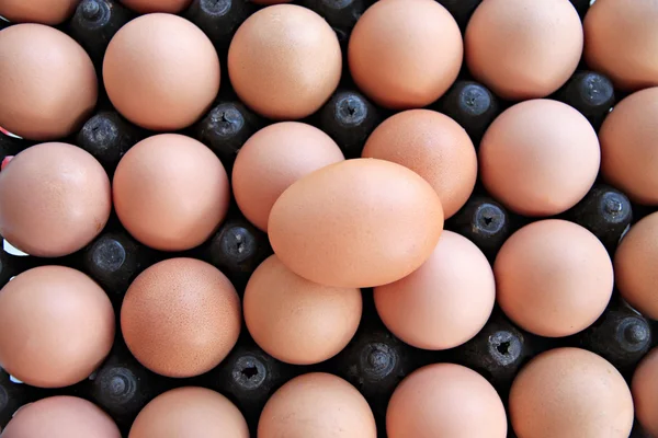 Eggs in a row. — Stock Photo, Image