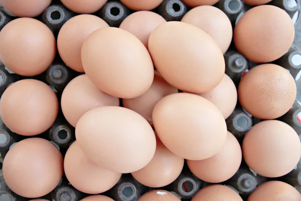 Taze yumurta konteyner kutu yığını. — Stockfoto