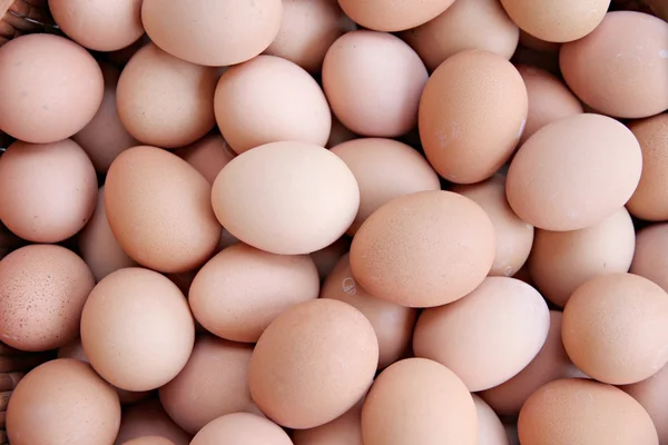 Stack of fresh egg Container box. — Stock Photo, Image