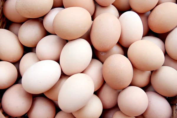 Stack of fresh egg Container box. — Stock Photo, Image