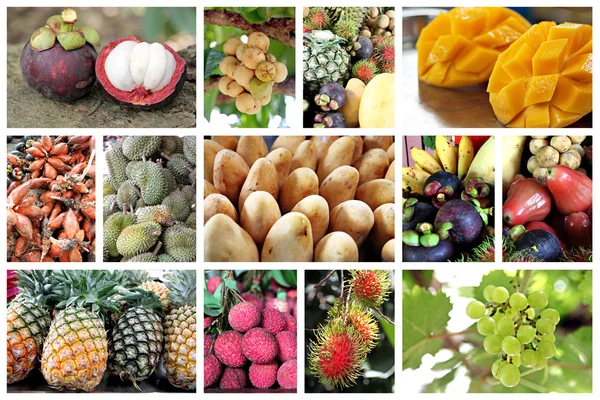 Muitos tipos de frutas tropicais . — Fotografia de Stock
