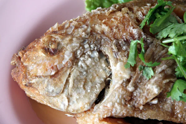 Fried fish and cilantro in the dish. — Stock Photo, Image