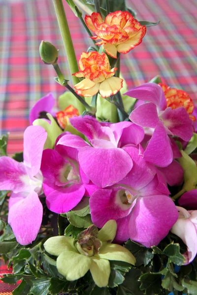 Orquídea roxa em vaso . — Fotografia de Stock