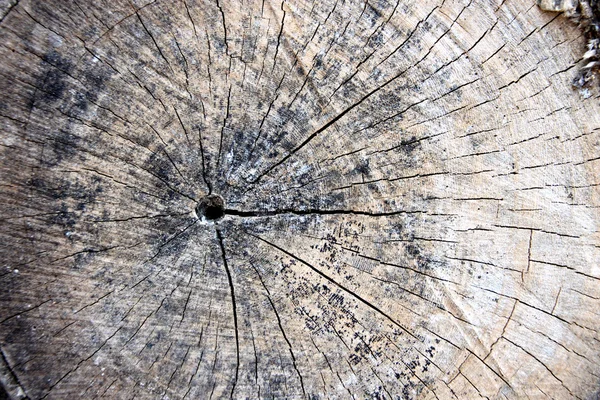 Aged wood of patterns. — Stock Photo, Image