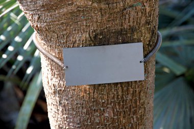 etiket asılı ağaçta sıkışmış.