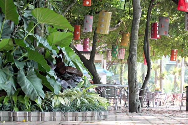 Árboles y pasarelas en el parque con mesas colocadas . —  Fotos de Stock