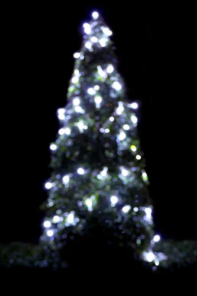 Arbre de Noël. — Photo