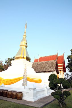 Tayland altın pagoda.