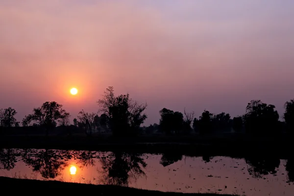Закат на рисовой ферме Силуэт . — стоковое фото