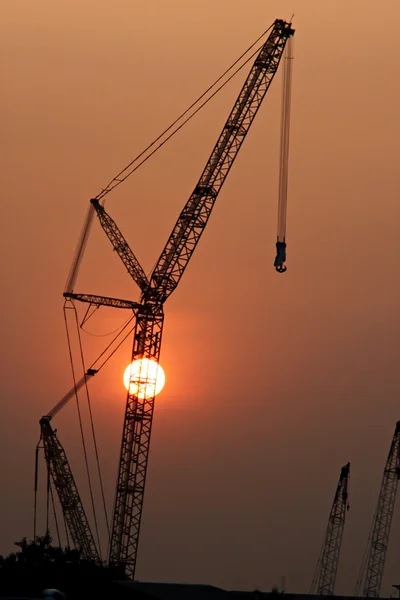 Silueta de la grúa en puestas de sol . — Foto de Stock