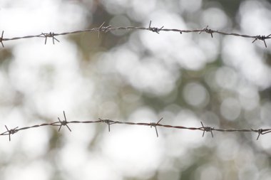 barbed wire fence. clipart